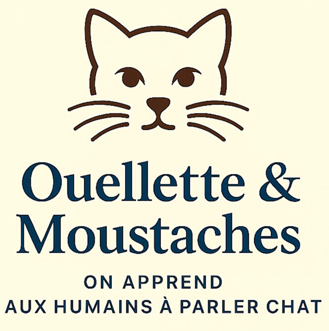 Logo de Ouellette & Moustaches, cabinet de conseils en comportement félin, avec une illustration minimaliste d’un visage de chat.